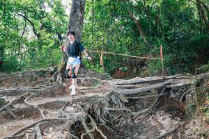 BIB: 
                            <button type="button" onclick="openModal(27721492)" class="btn btn-primary btn-sm float-right btn-popup" data-toggle="modal" data-target=".modal-high-quality">
                        <i class="fas fa-shopping-cart"></i> Add to Cart
                    </button>
                                            <button type="button" onclick="isThisMe(27721492, true)" class="btn btn-success btn-sm float-right btn-popup btn-isme hidden" data-toggle="tooltip" data-placement="bottom" title="นี่คือรูปของคุณใช่ไหม คลิกที่นี่เพื่อเอาเข้าอัลบั้ม">
                        <i class="fas fa-plus"></i> Add to album
                    </button>
                    <button type="button" onclick="isThisMe(27721492, false)" class="btn btn-warning btn-sm float-right btn-popup btn-isnotme hidden">
                        <i class="fas fa-ban"></i> Remove from album
                    </button>